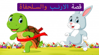 d4b8aede06f896e0e549cbecb58bf864