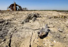 iraqi marshes biodiversity climate challenges