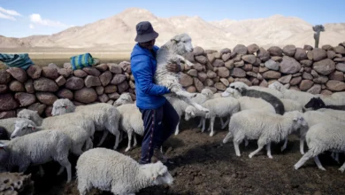 south america lithium food security