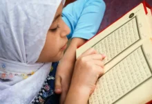 الدولة المدنية في الإسلام ومبدأ المواطنة المتساوية وسيادة القانون