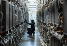 مراكز بيانات الخليج الرقمية وحماية استثمارات الذكاء الاصطناعي في الشرق الأوسط
