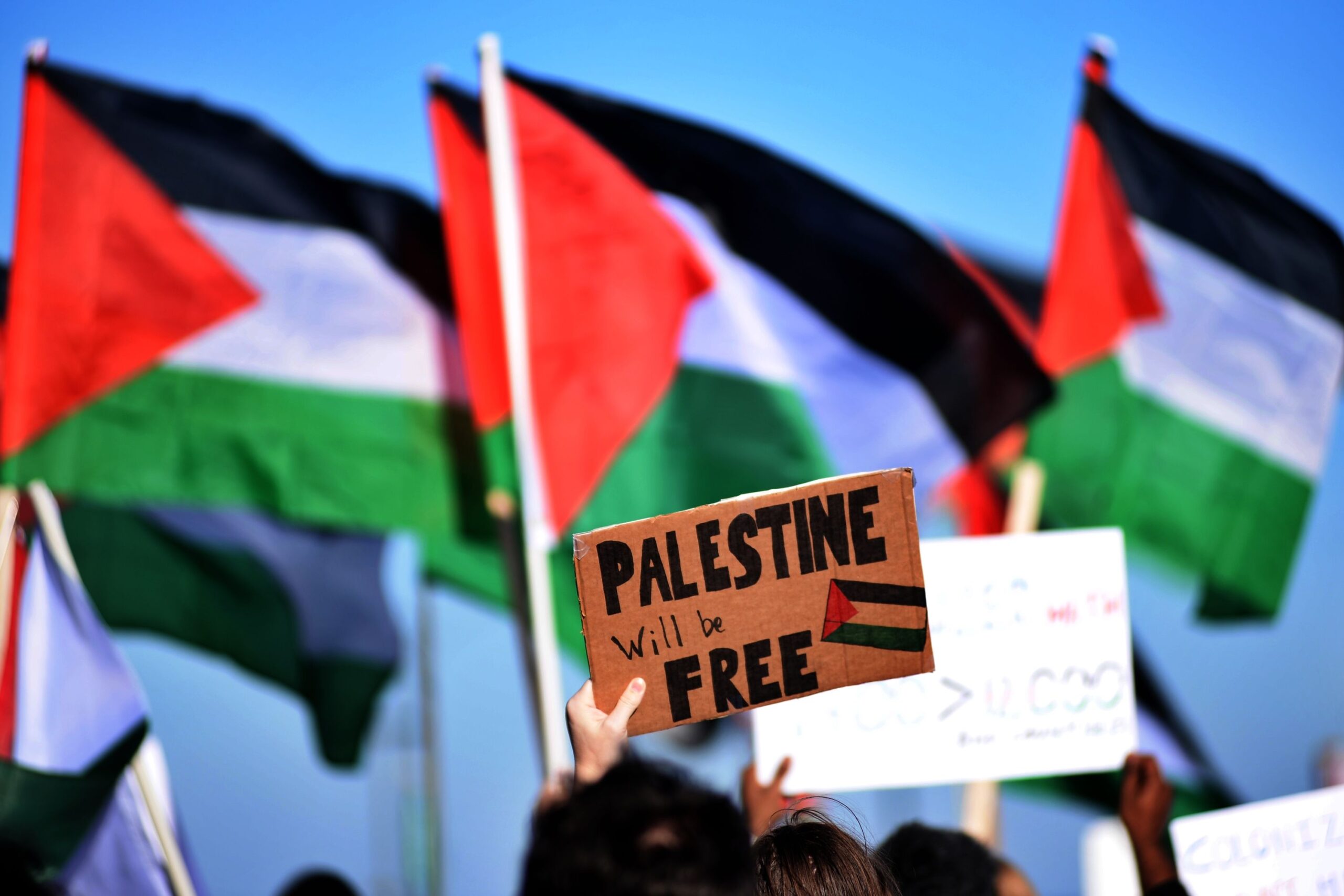 ما علاقة علم فلسطين بتظاهرات فرنسا وأمريكا؟ سر التمرد الغربي على حيتان المال